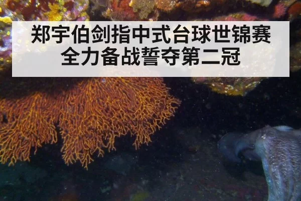 郑宇伯剑指中式台球世锦赛 全力备战誓夺第二冠